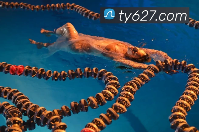 多终端兼容